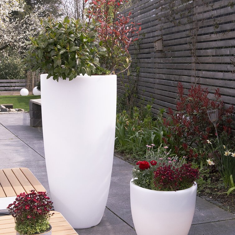 Wayfair store plant pots